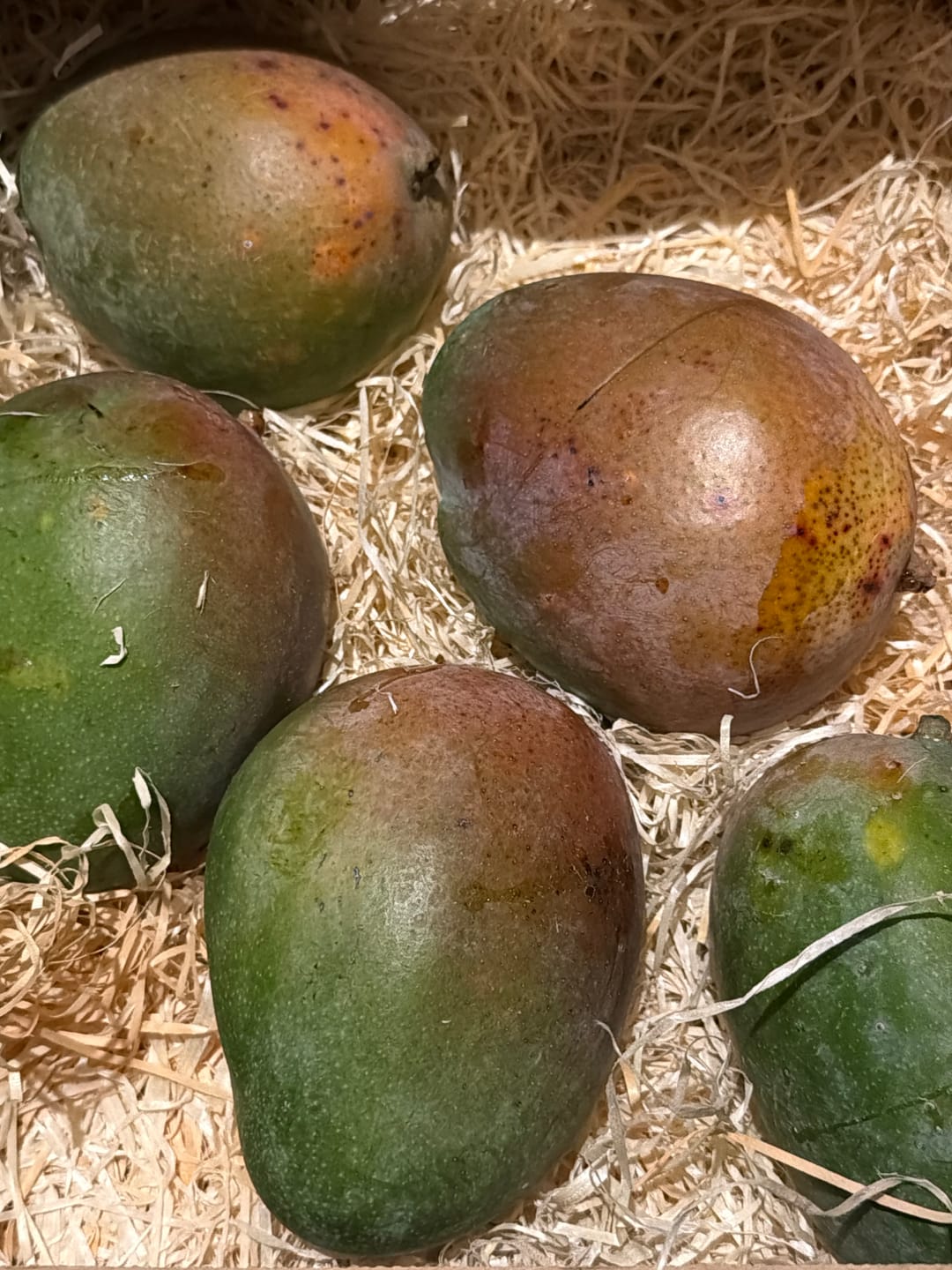 Customer photo review of Mango Keitt von Julian Sonderaktion % 4kg Box