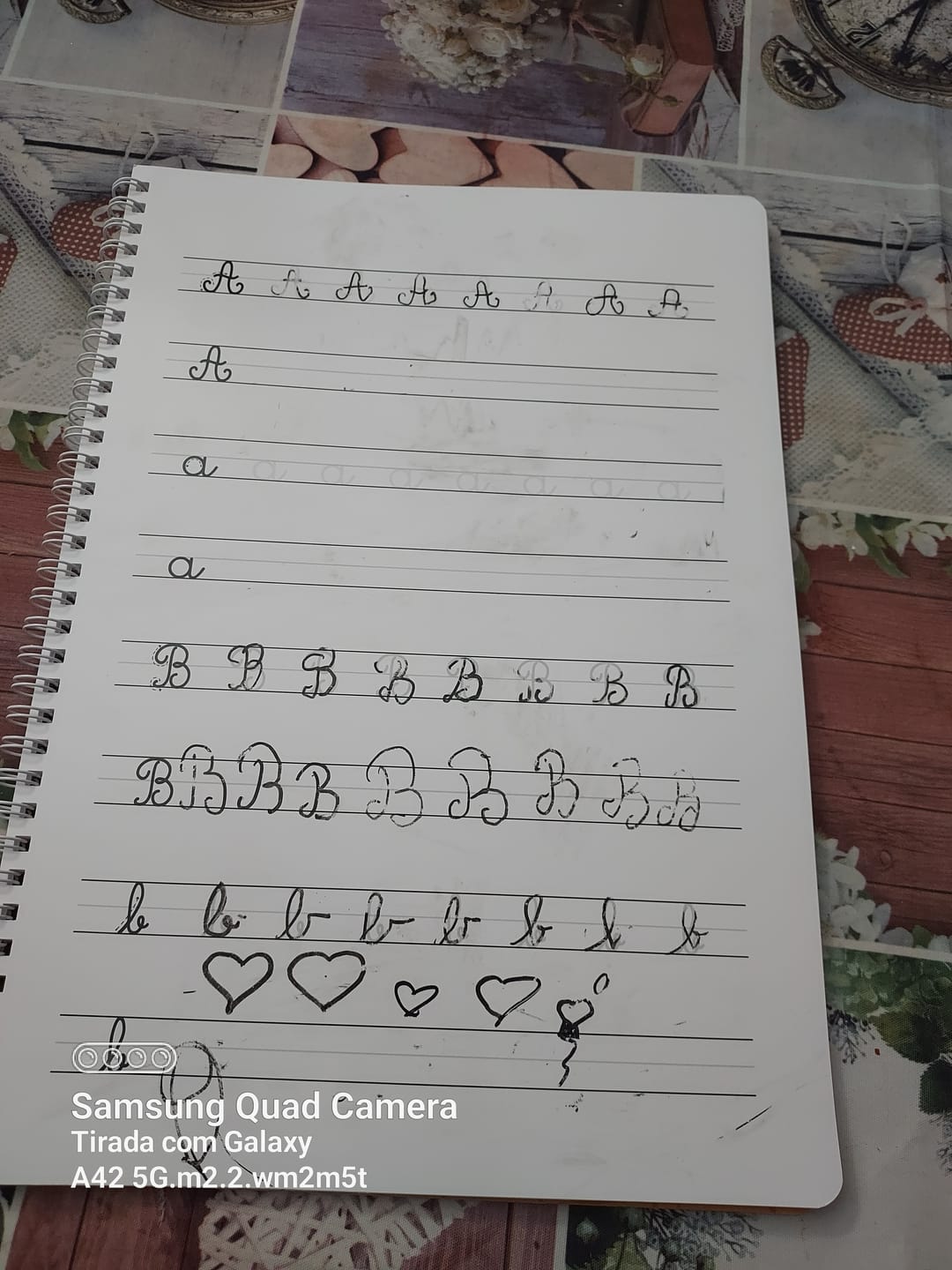 Customer photo review of Infinitebook Calligraphy A4