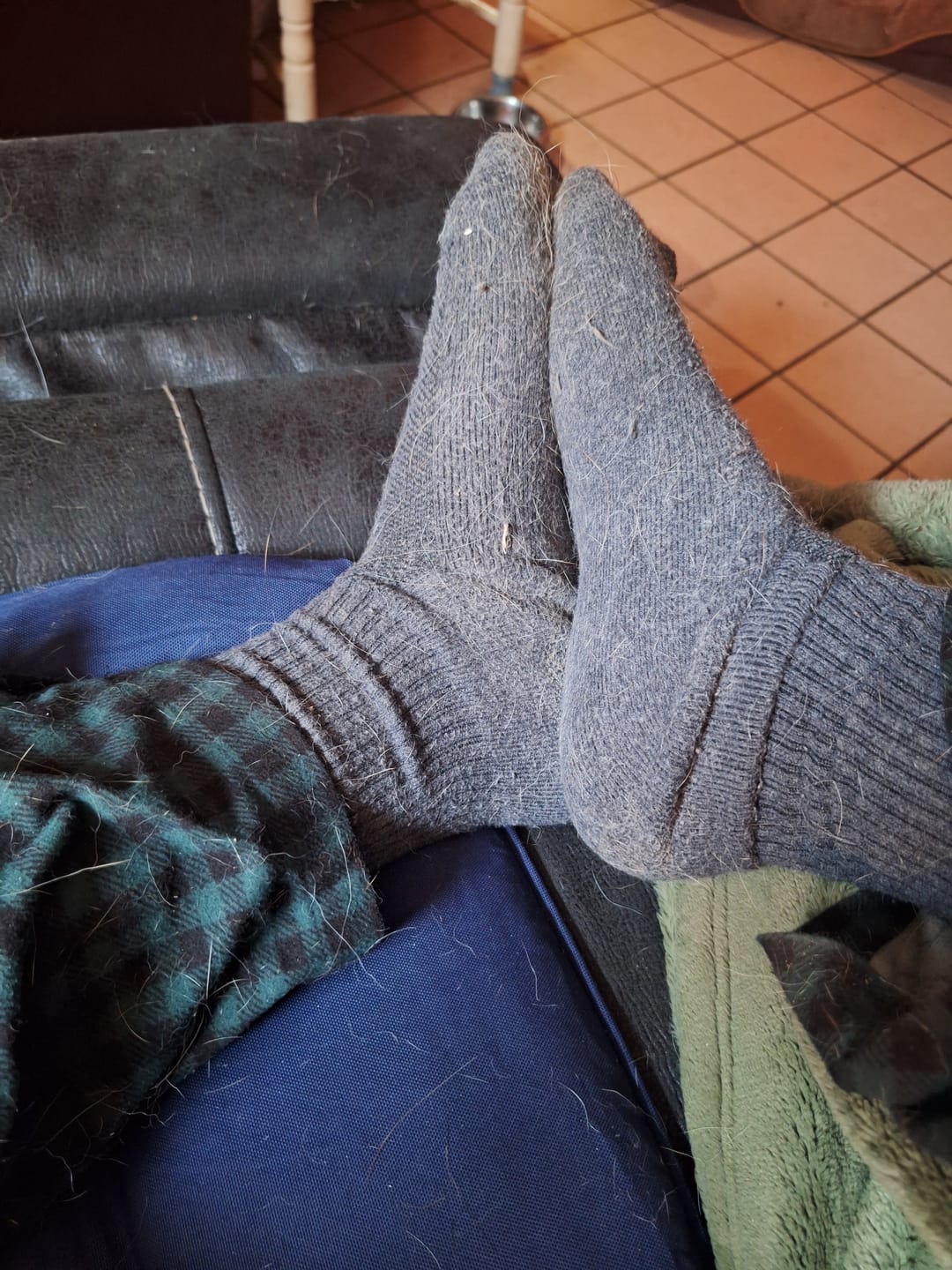 Customer photo review of Bluepacca Alpaca Socks Set