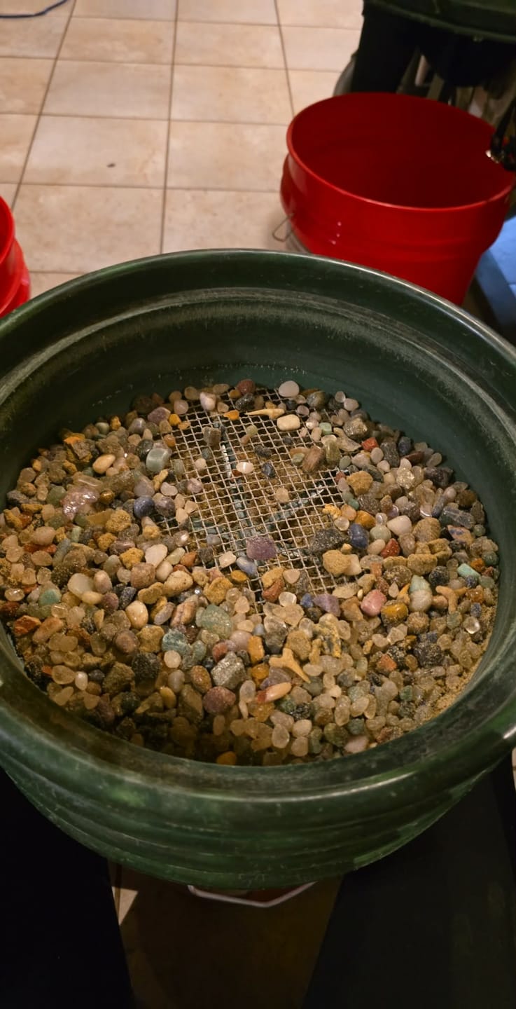 Customer photo review of The Big Dig - 5 Gallon Mining Bucket