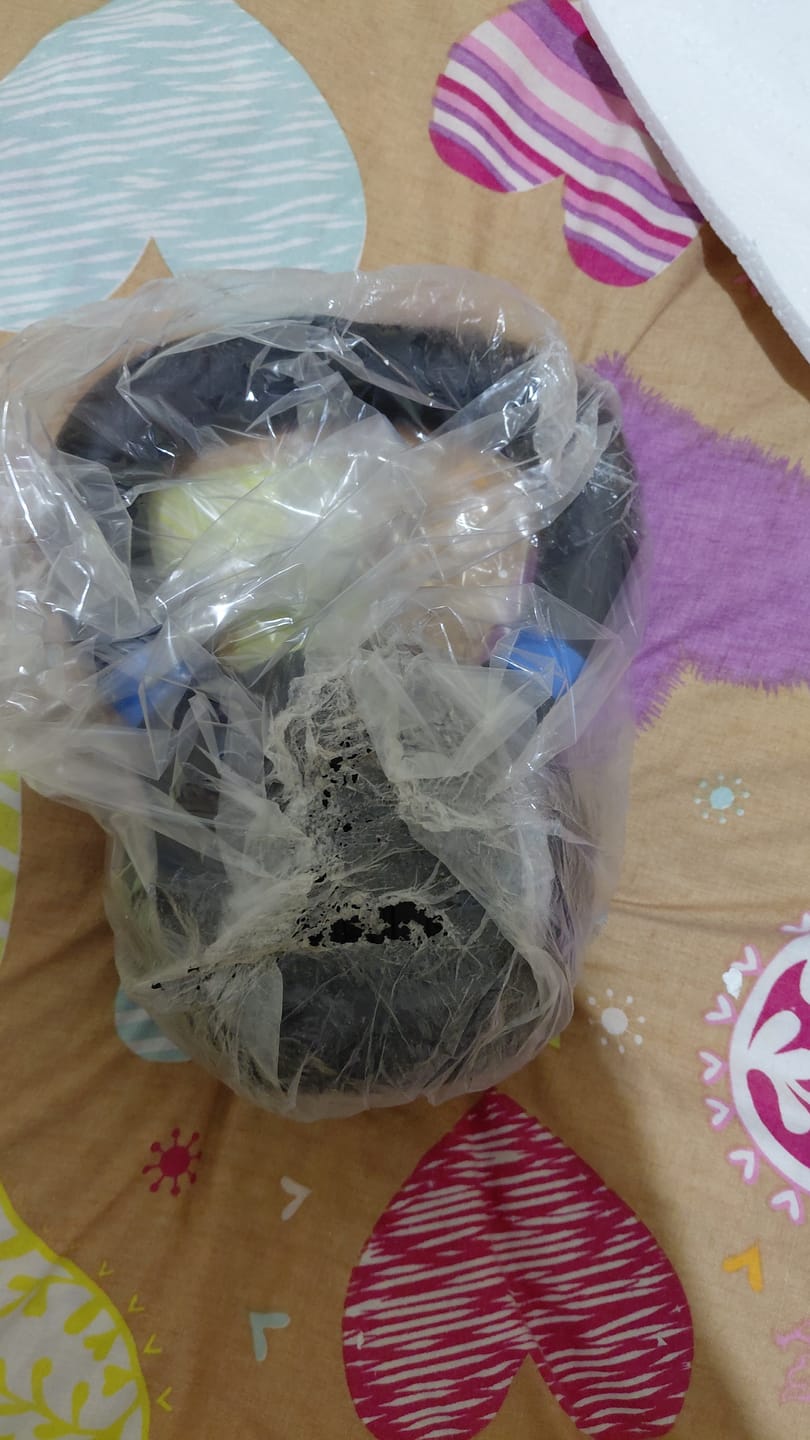 Customer photo review of Kettlebell Premium 4 a 36 kg IRONSIDE