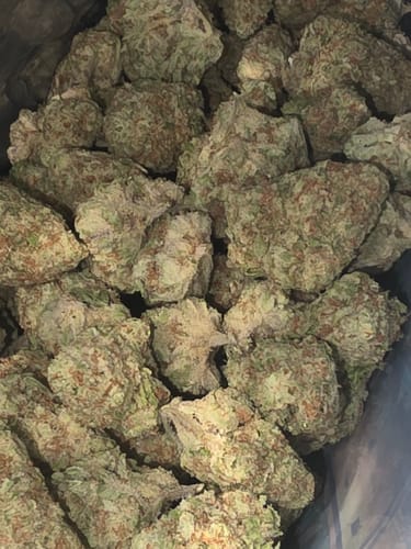 Customer photo review of Double Cake - Light Dep THCA (Full Size)