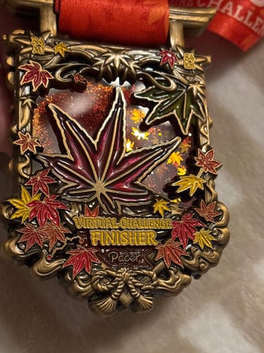 Customer photo review of Kumano Kodo Virtual Challenge