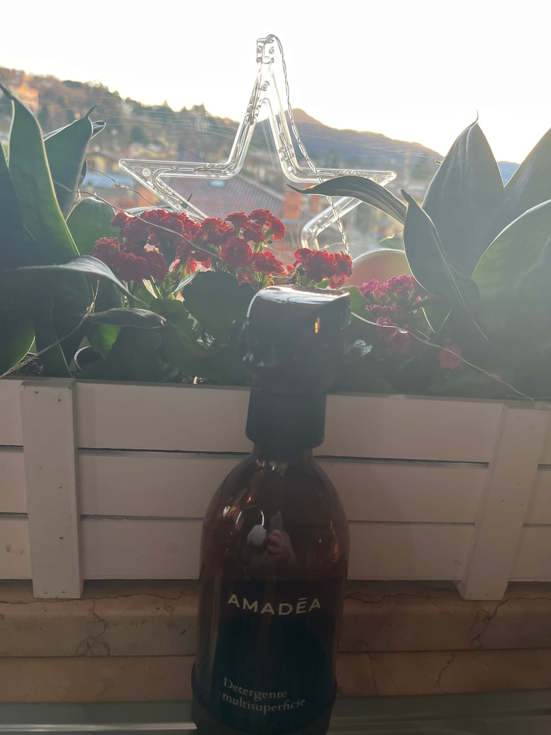 Customer photo review of Detergente multisuperficie "Classic" 300ml