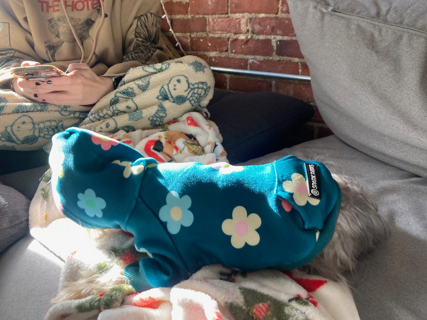 Customer photo review of Daisy Dog Hoodie - Green
