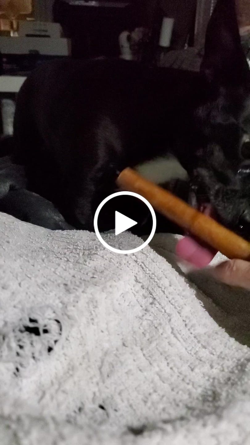 Customer video review of 5-6 Inch Collagen Stick