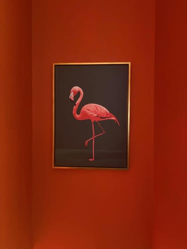 Customer photo review of Pink Flamingo Print