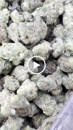 Customer video review of Blue Nerds Minis - Bulk Minis - Hybrid