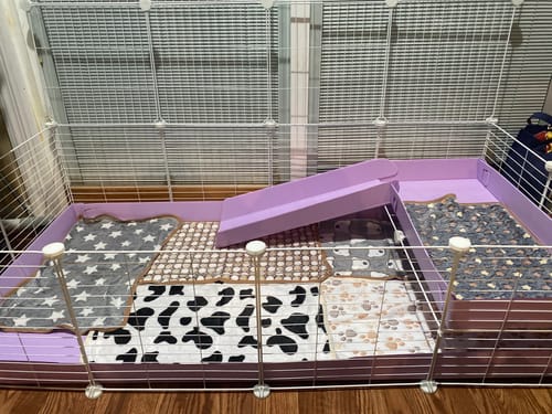 Customer photo review of 4x2 C&C Cage with Loft