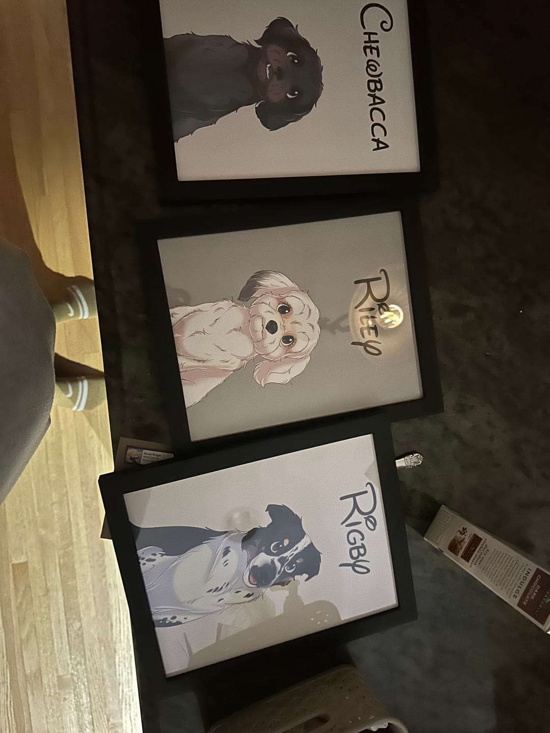 Customer photo review of Disneyfy Pet Cartoon Hand Drawn Portrait