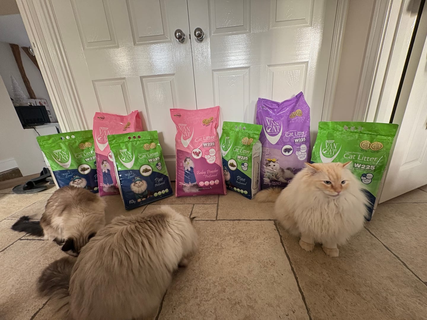 Customer photo review of W225 Scented Range - 10KG