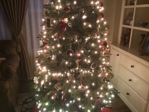 Reviewer's lit Christmas tree decorated with several personalized wooden ornaments, including a paw print one.