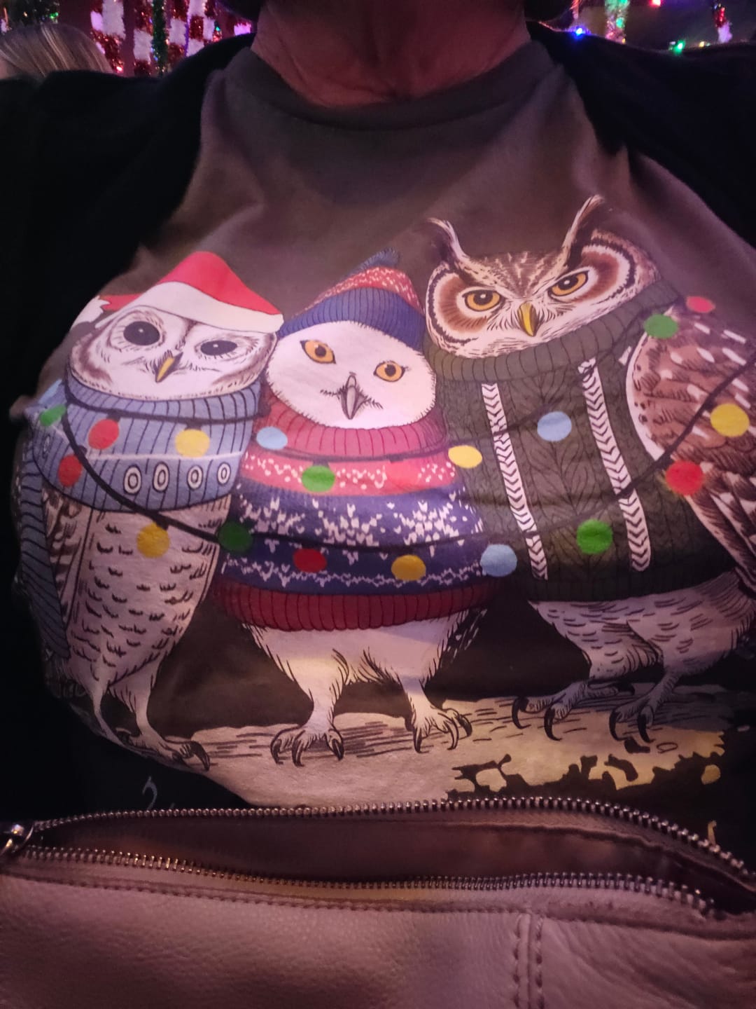 Customer photo review of Cozy Owlmas Trio T-shirt