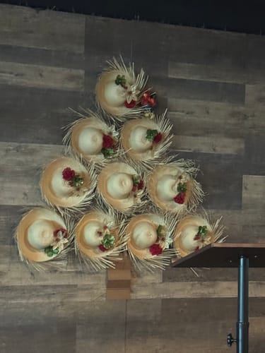 Customer photo review of #6 Gallo García | con Sonido