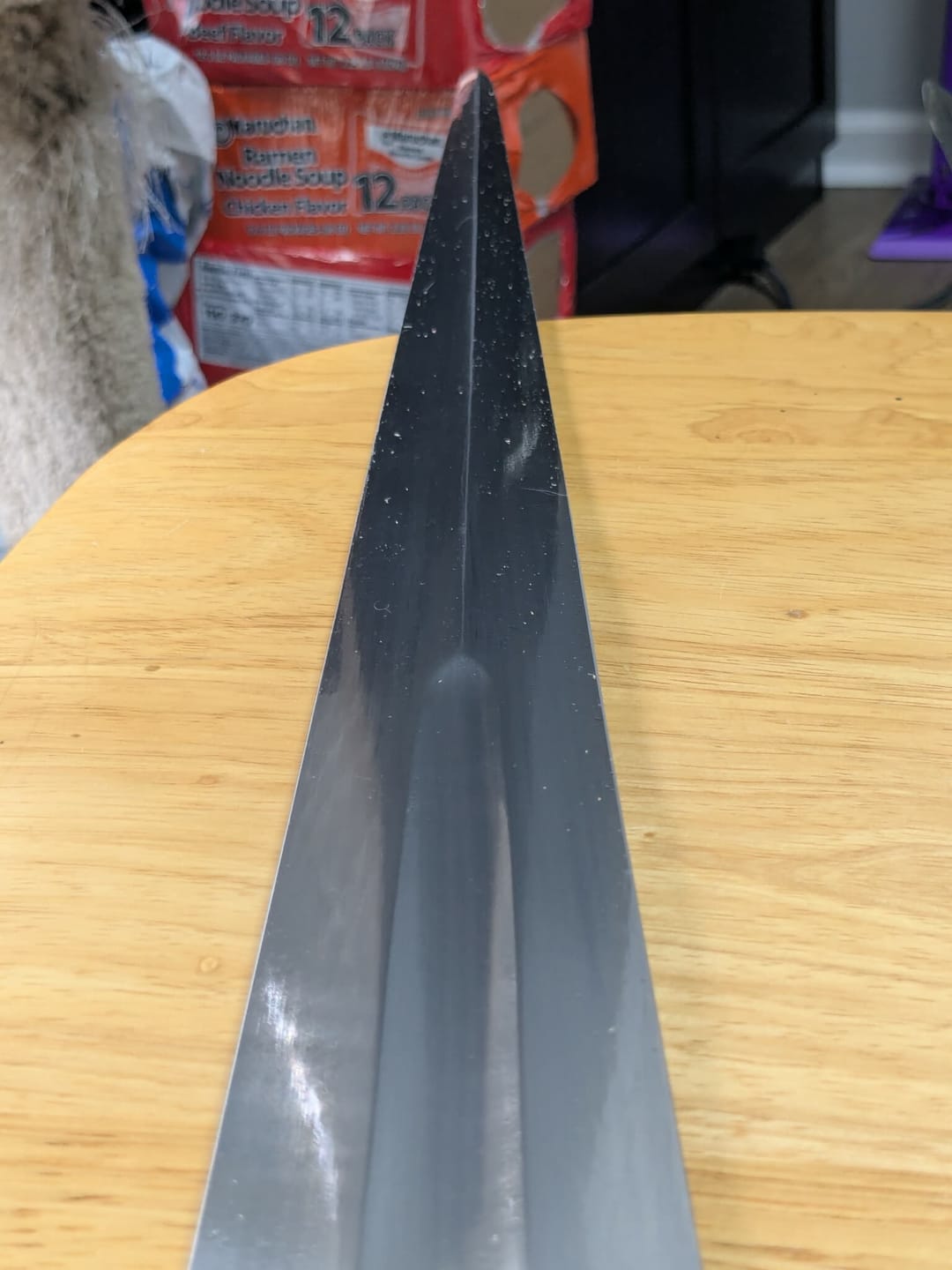 Customer photo review of The Aquila Arming Sword