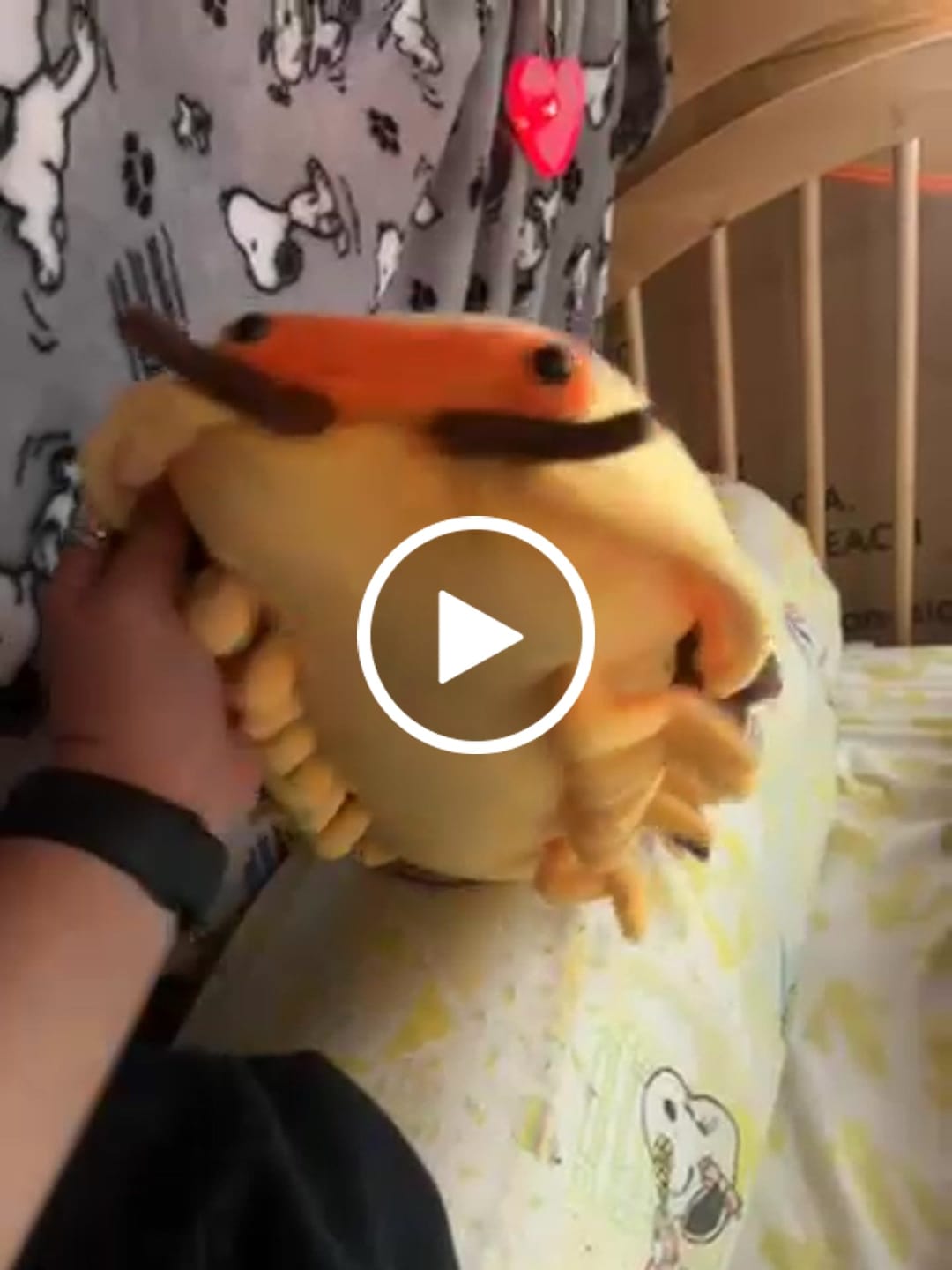 Customer video review of Roly-poly Bug Soft Stuffed Plush Toy