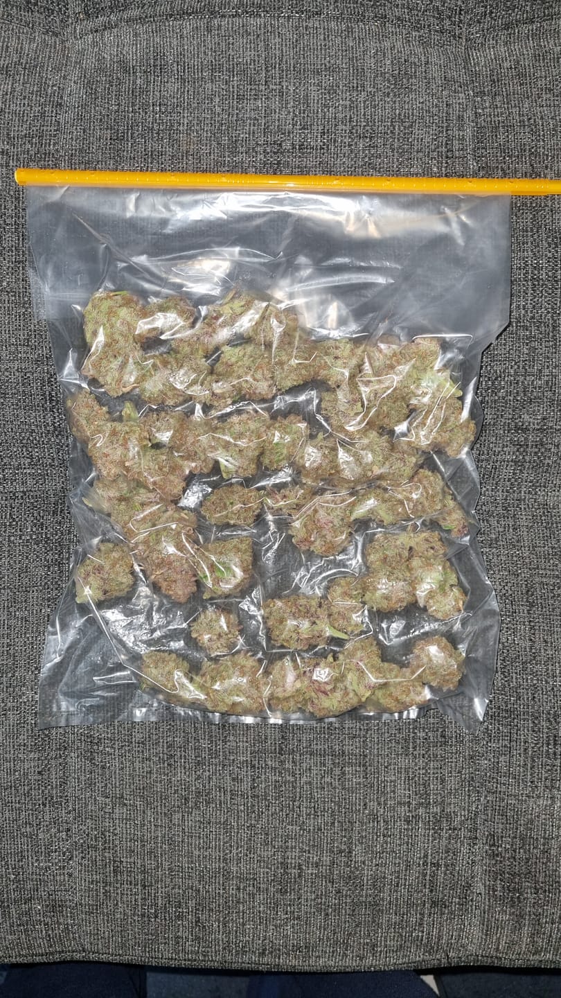 Customer photo review of DryFerm Bag (3er Set)