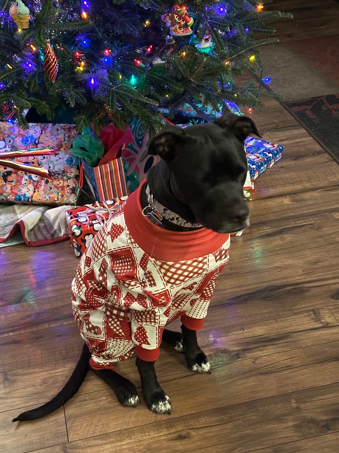 Customer photo review of Dog Christmas Pajama - Festive Patchwork