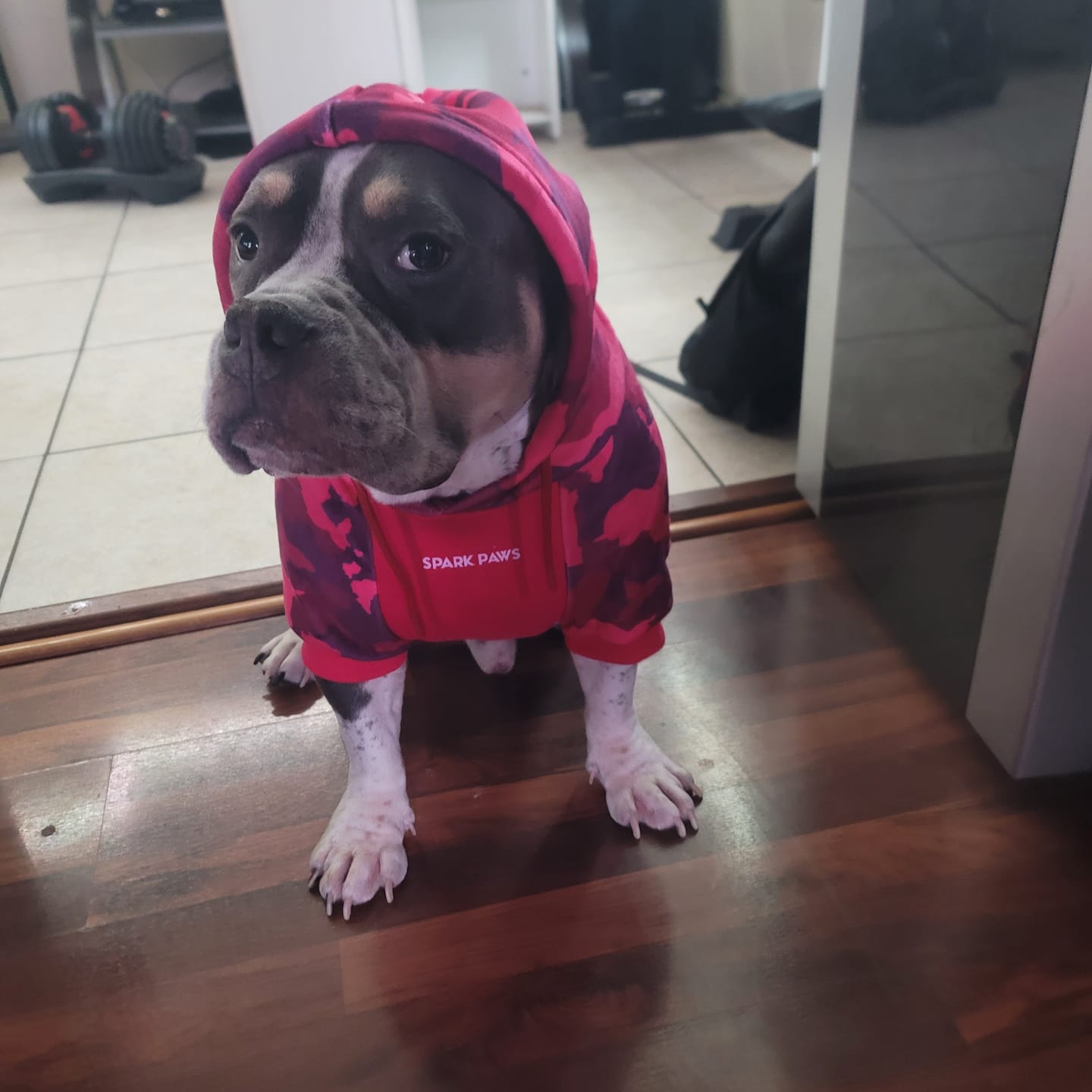 Customer photo review of Fuchsia Camo Human Hoodie
