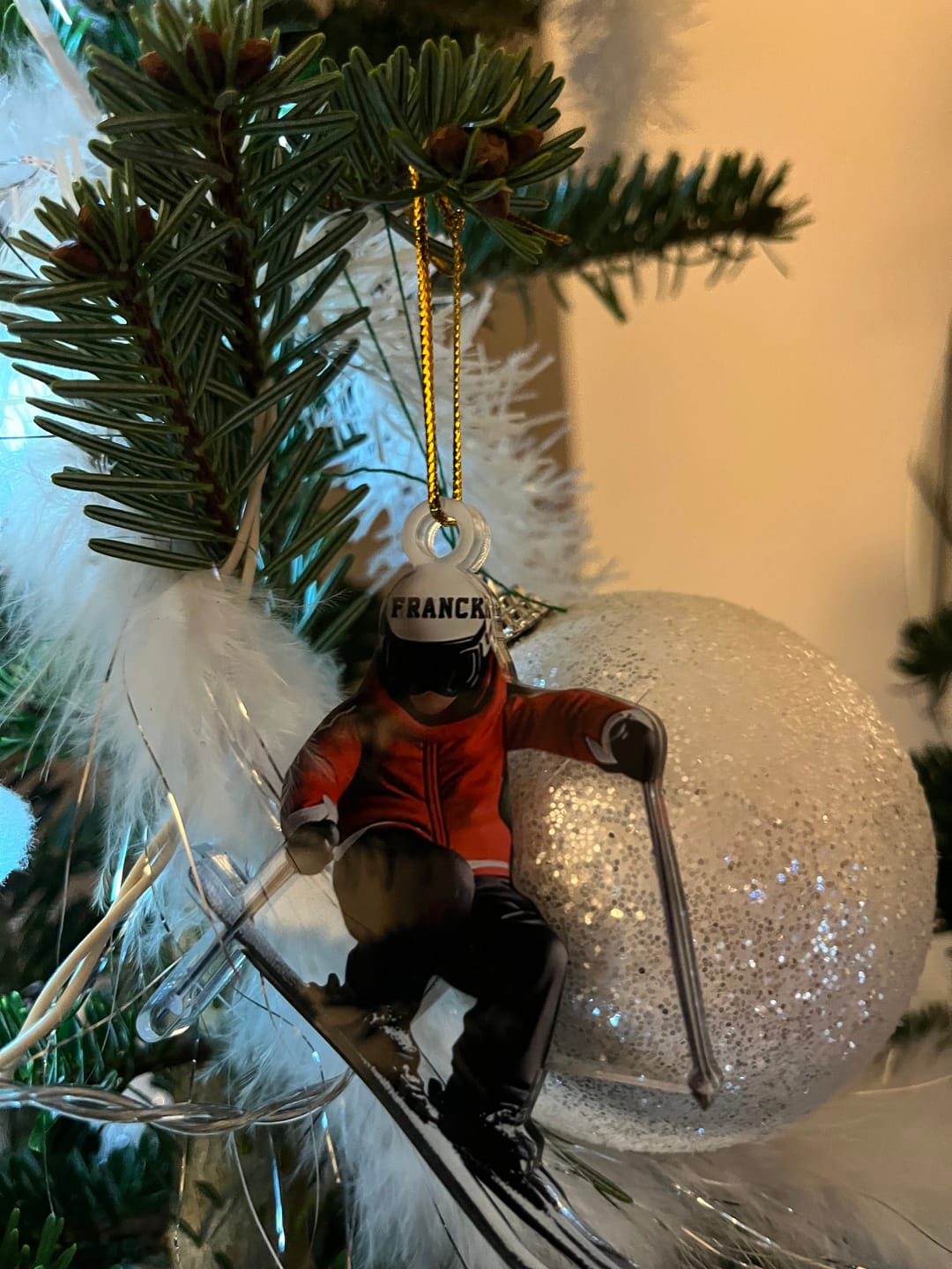 Customer photo review of Skiing Fun Personalized Name Shaped Ornament, Gift Idea For Skiing Lovers