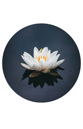 Customer photo review of 1/4" x 9" Round Corks (6 pack)