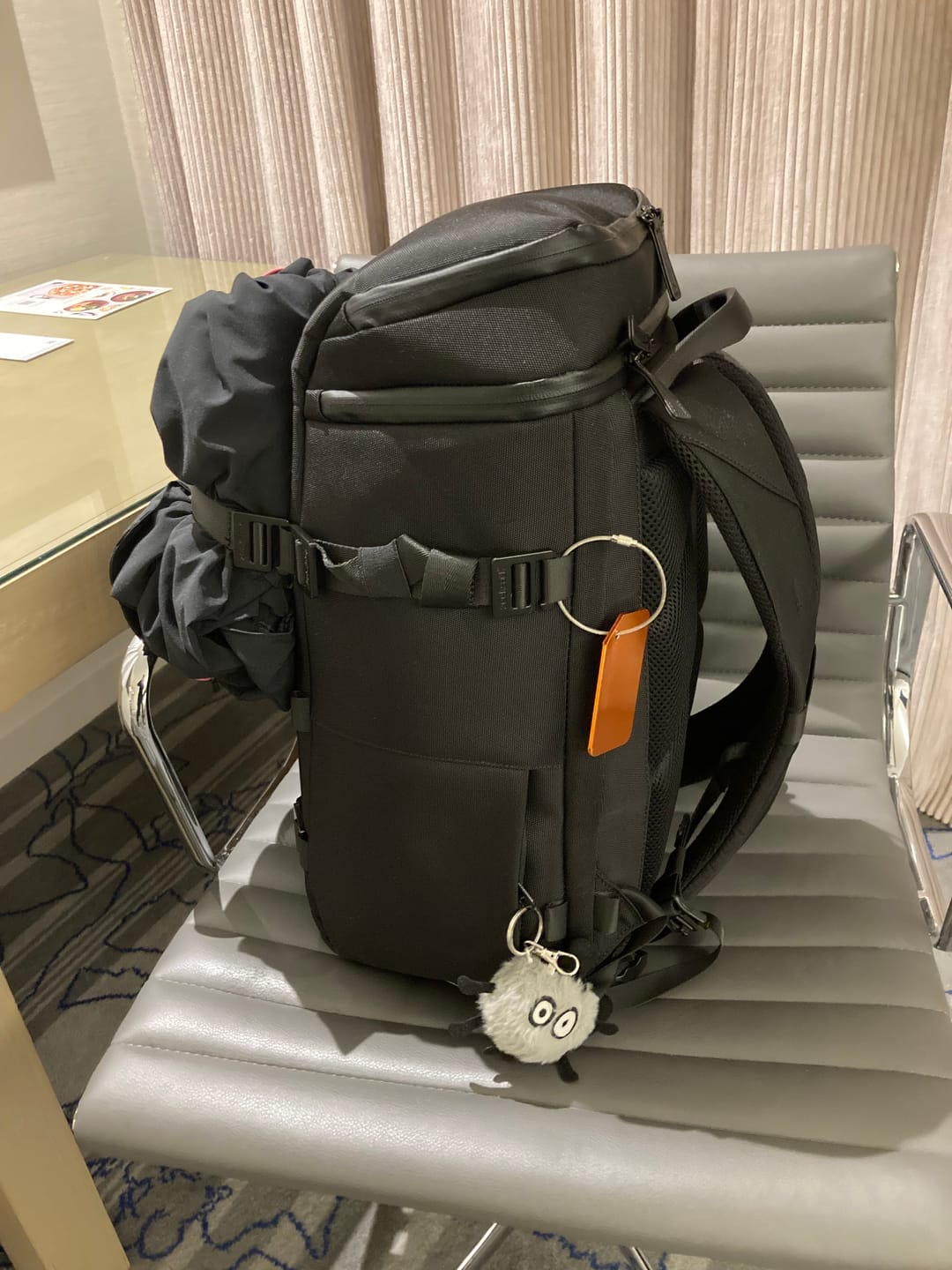 Customer photo review of The Organizer 20L