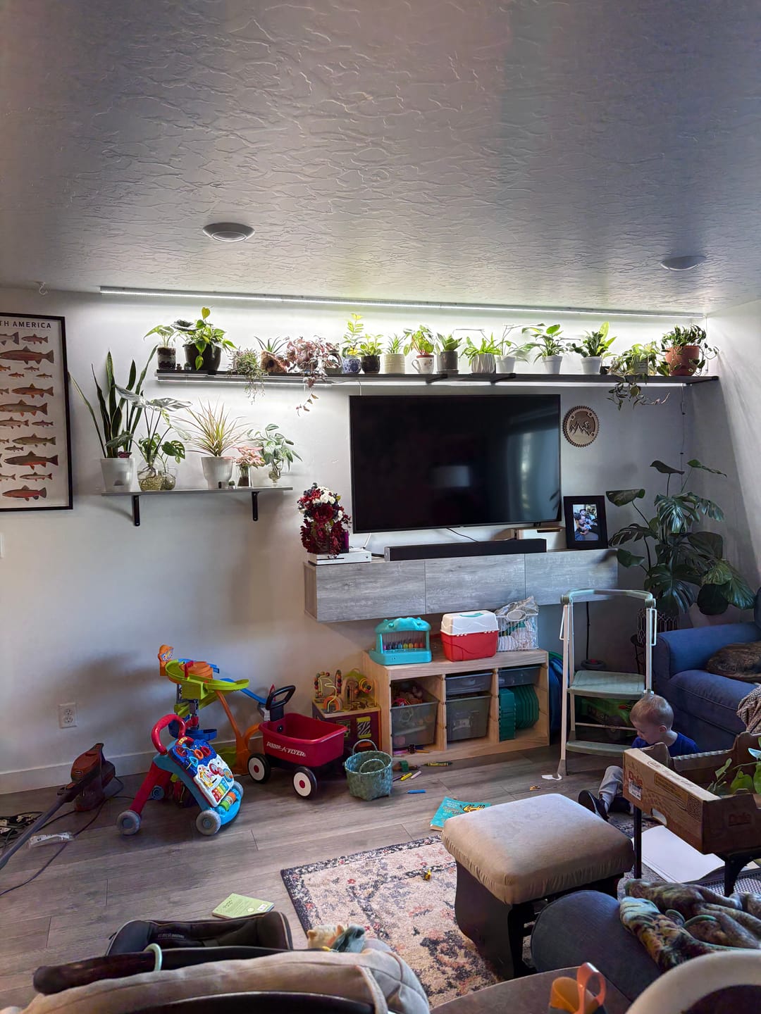 Customer photo review of Indoor Light Guide | Free Download