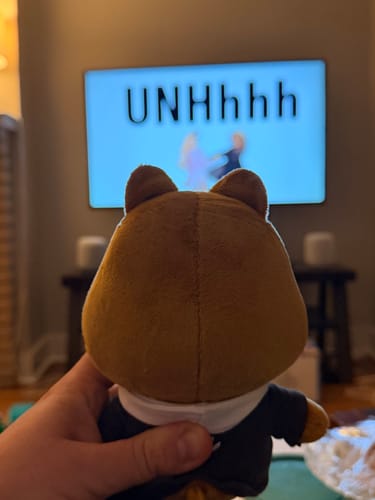 Customer holding the back of their SKZOO HAN QUOKKA plush in front of a lit television screen.