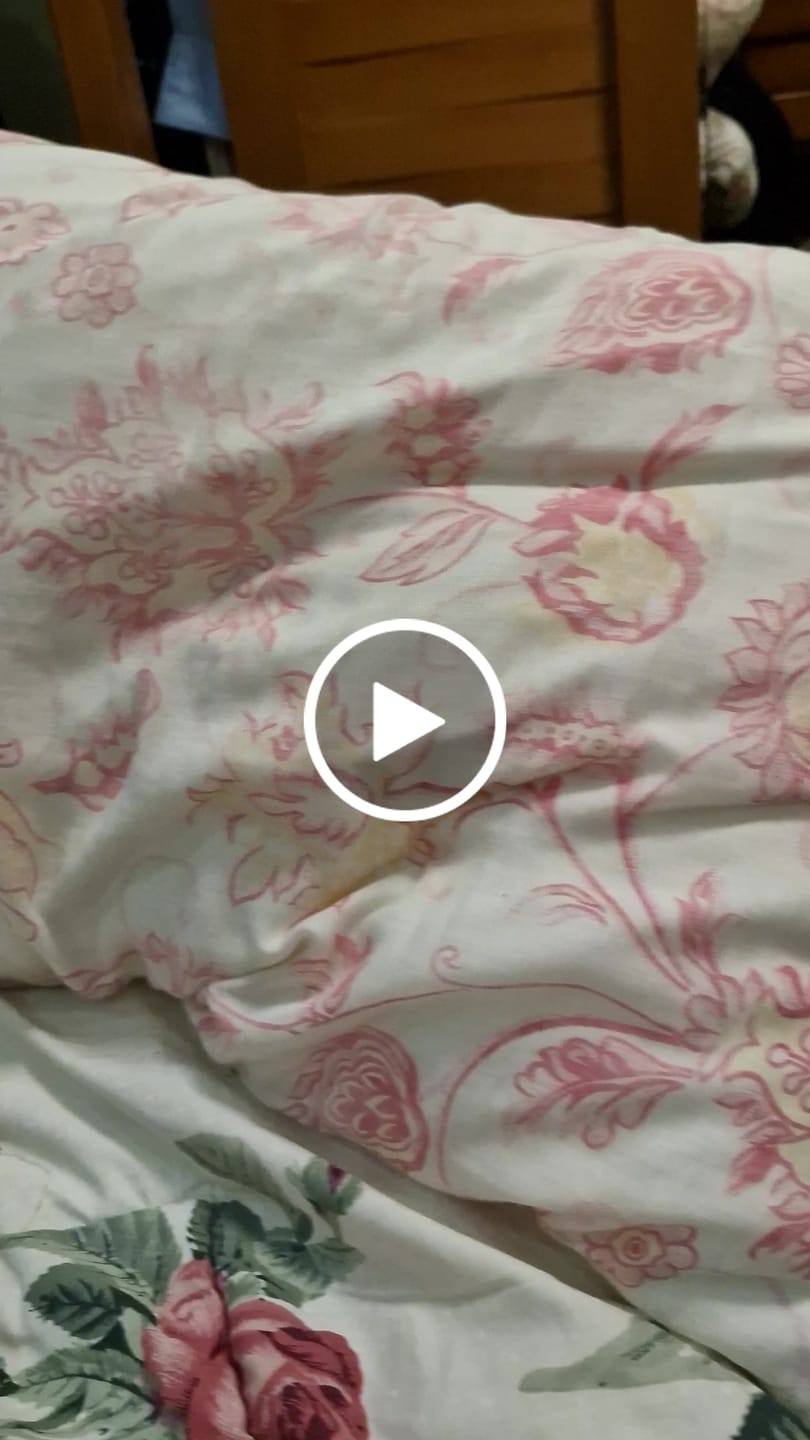 Customer video review of Luxurious Plain Hotel Pillow