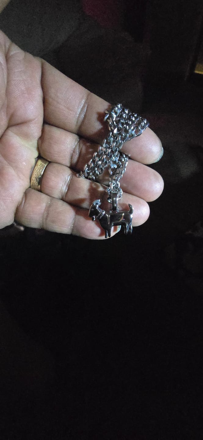 Customer photo review of GOAT