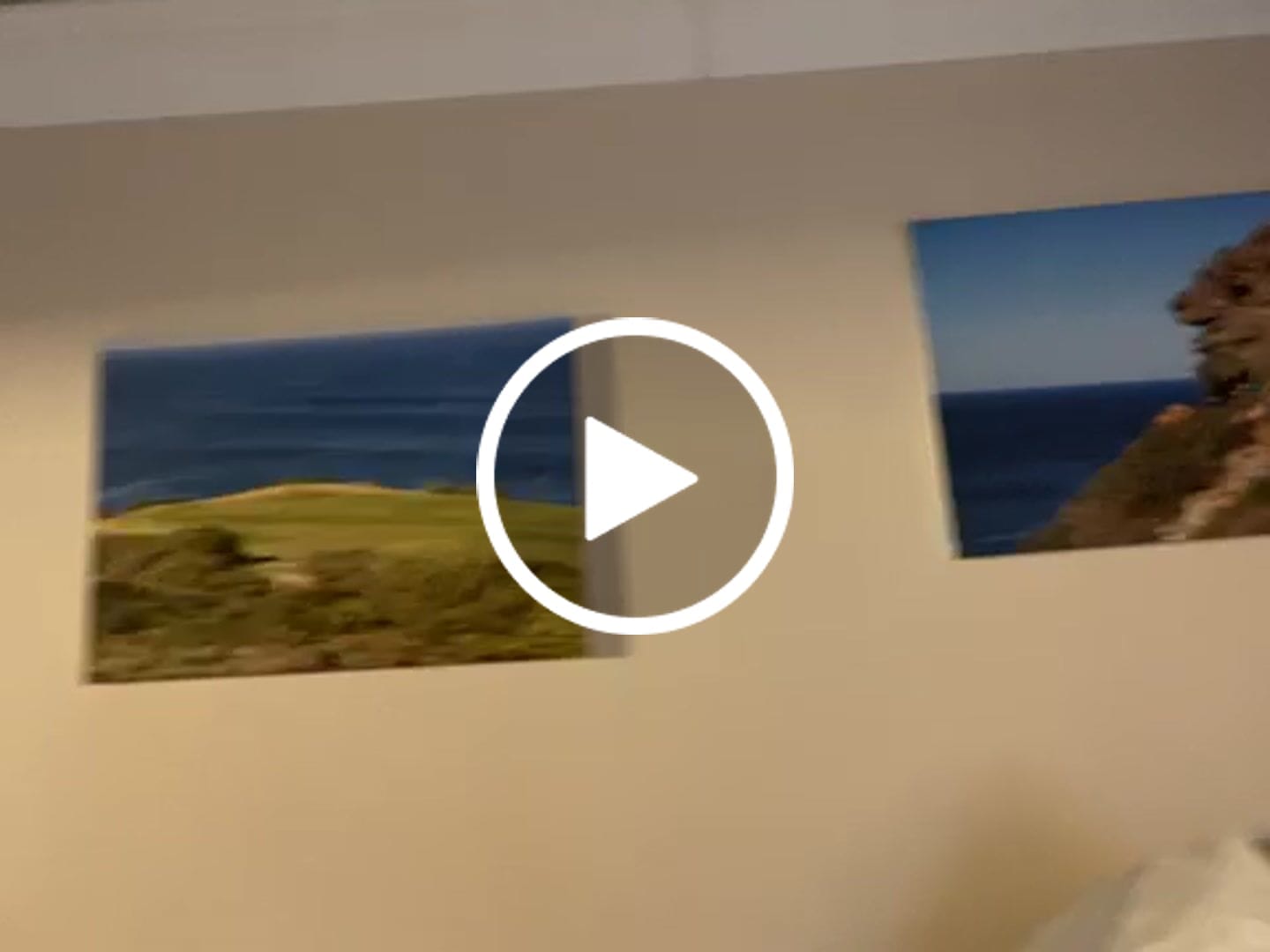 Customer video review of 4 x A2 Canvas Combo