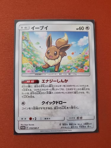 Customer photo review of Eevee 310/SM-P