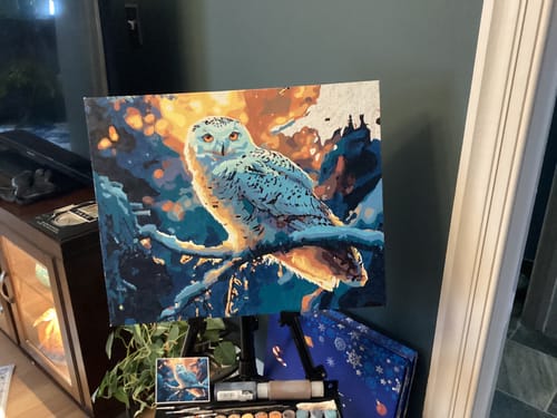 Customer photo review of Wintry Watchful