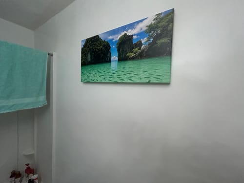 Customer photo review of Create Your Own Canvas Set - Wide Landscape