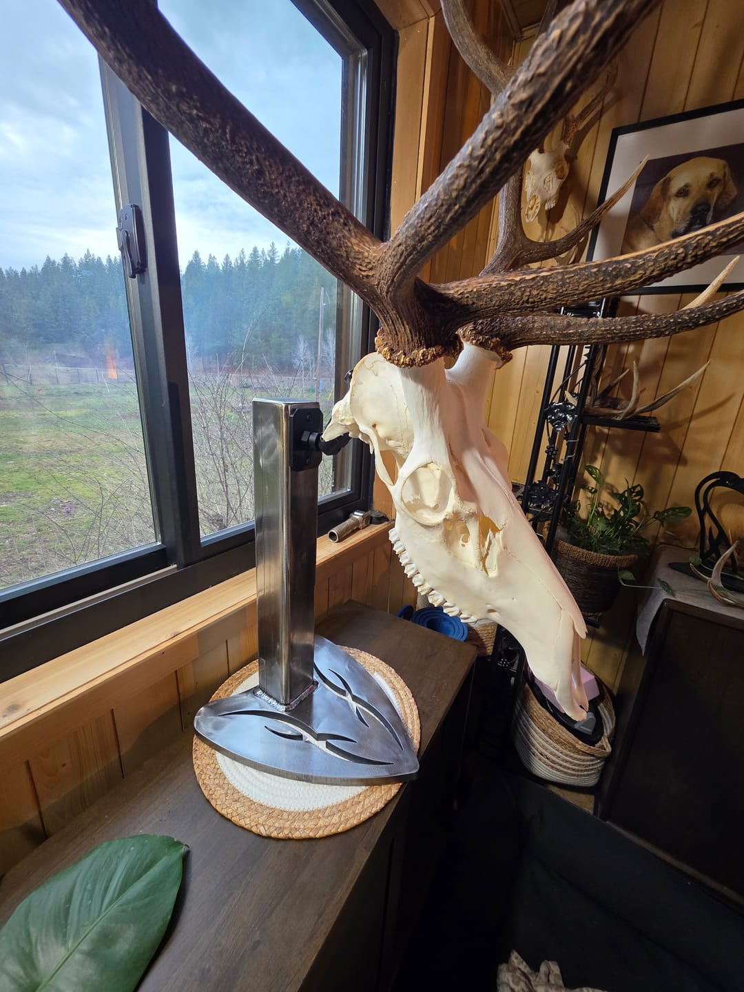Customer photo review of SkulLok | Large Game