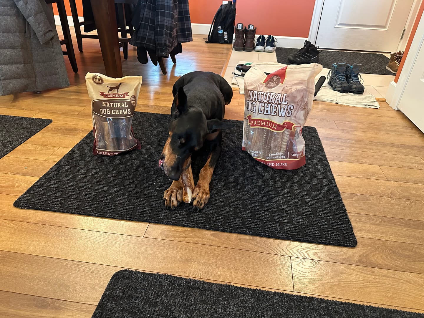 Customer photo review of 5-6 Inch Marrow Bone
