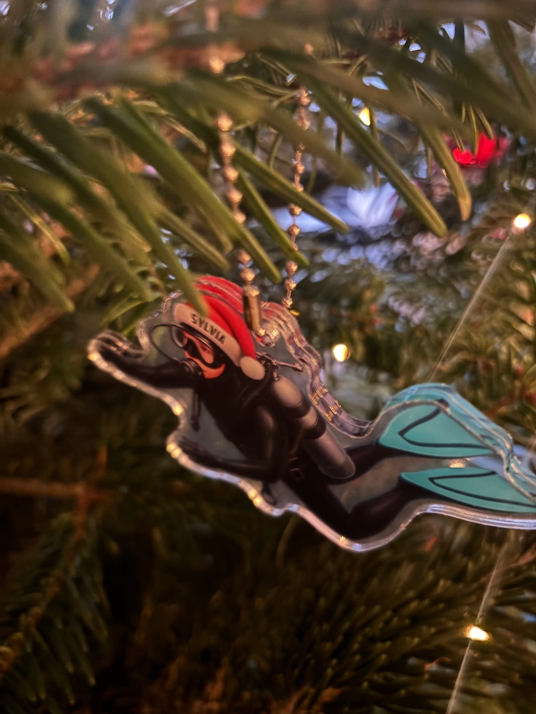 Customer photo review of Diver Santa, Home Decor, Christmas Ornament, Personalized Ornament