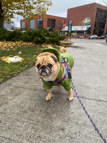 Customer photo review of Puffer Jacket