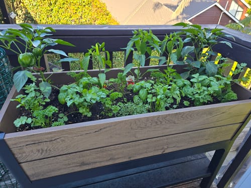 Customer photo review of Signature Elevated Garden Bed - Pine
