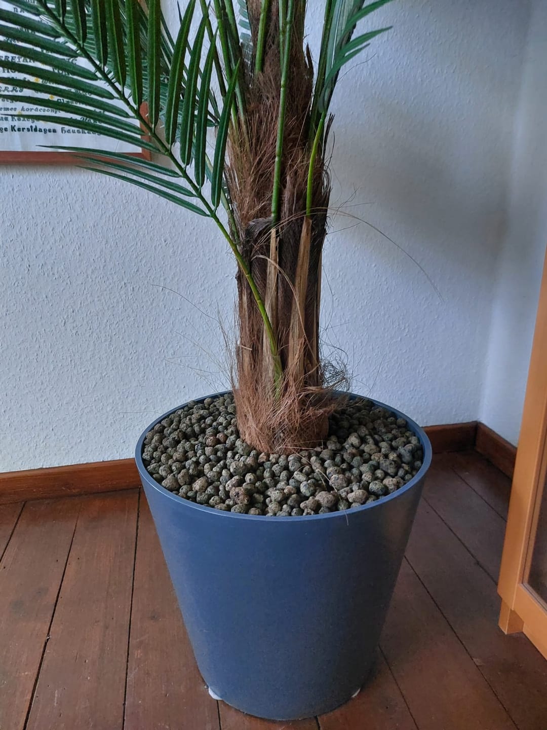 Customer photo review of Palme Kunstpflanze 150cm