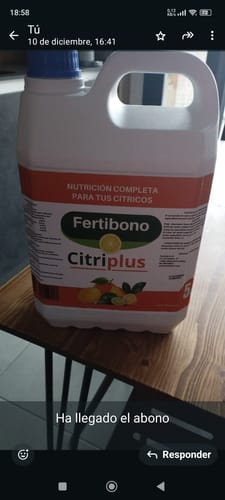 Customer photo review of Fertibono CitriPlus: Abono Cítricos, (5L), Rico en Hierro, Zinc, Calcio,Manganeso, Magnesio, AminoAcidos y NPK - Abono Plantas, Ecológico, Residuo Cero