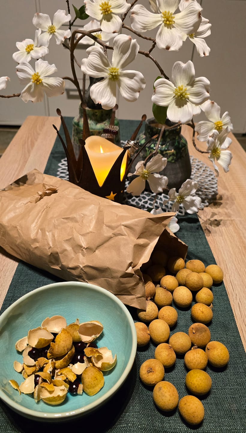 Customer photo review of Longan naturbelassen