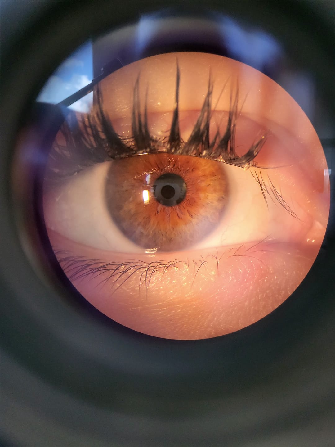 Customer photo review of NO FILTER MAXI (12mm-14mm)