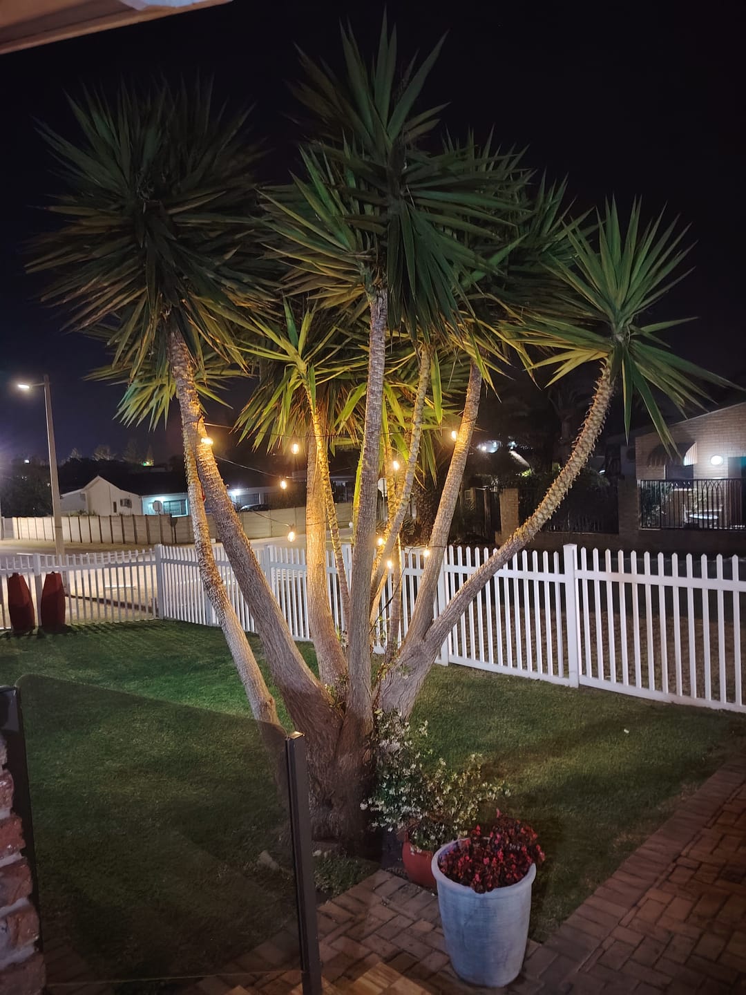 Customer photo review of Solar Festoon Bulb String Lights