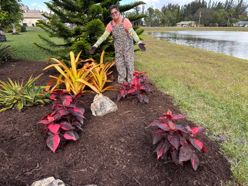 Reviewer presenting their new garden bed with several vibrant Red Copperleaf plants by a lake.
