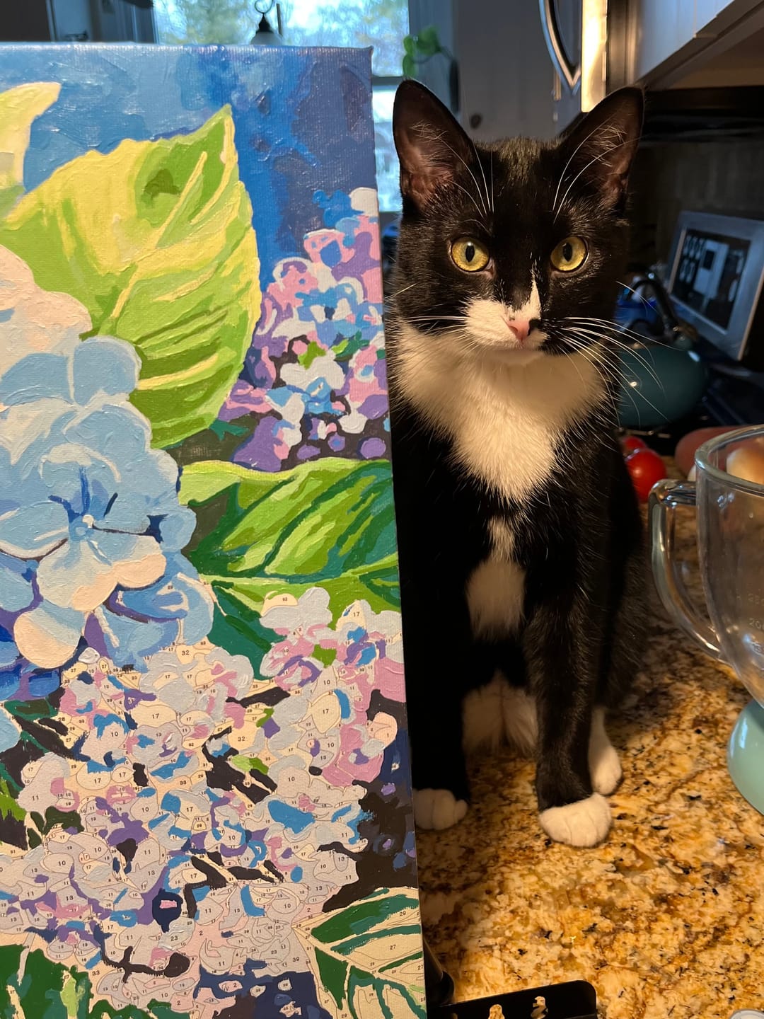 Customer photo review of Starry Night Christmas