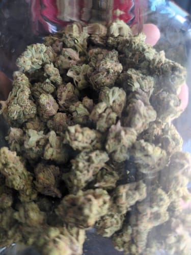 Customer photo review of Shipping Protection by Route