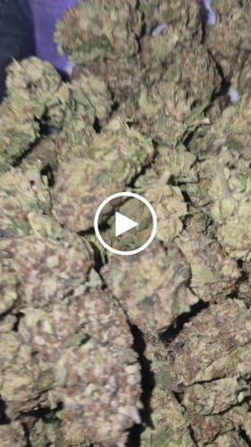 Customer video review of THCA Queen
