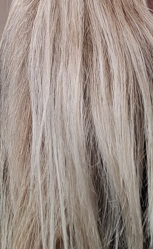 Customer photo review of Milkshake Icy Blonde Holiday Gift Set