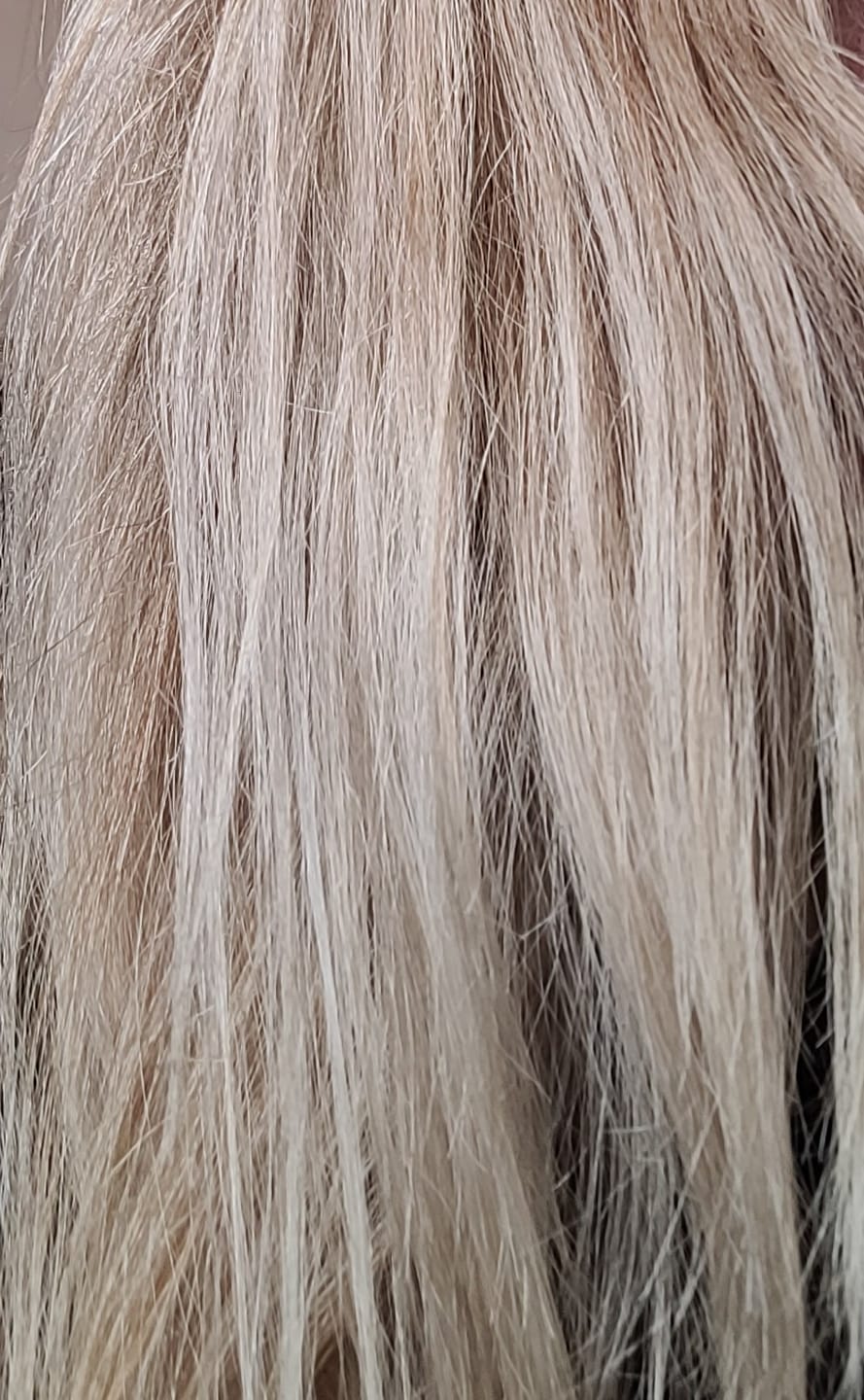 Customer photo review of Milkshake Icy Blonde Holiday Gift Set